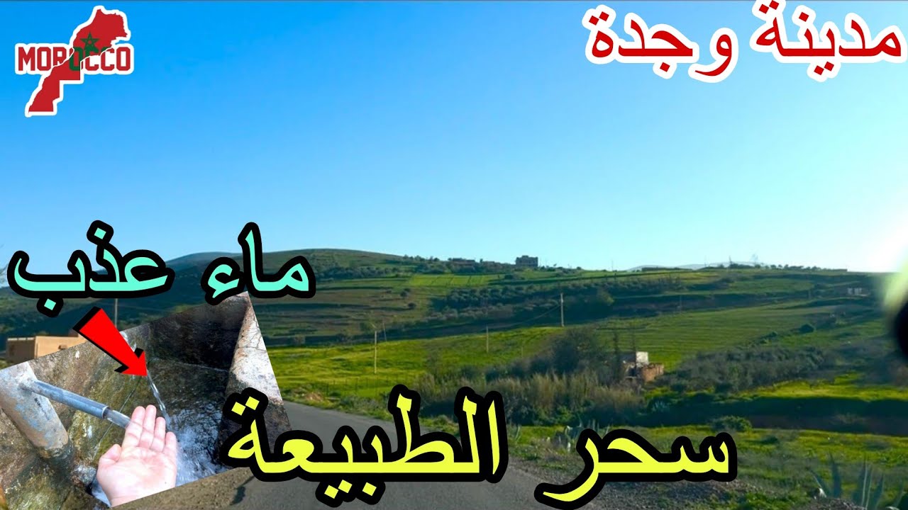 وجدة2026\02\22أجمل ماشافت عيني اليوم😍الأرض كلها طابي أخضر وسط سحر الطبيعة🎄ومياه عذبة من تحت الجبال 