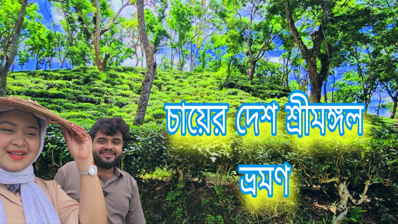 শ্রীমঙ্গলের নুরজাহান চাবাগান ও মাধবপুর লেক ভ্রমণ Sreemangal Nurjahan TeaGarden & Madhabpur Lake Tour