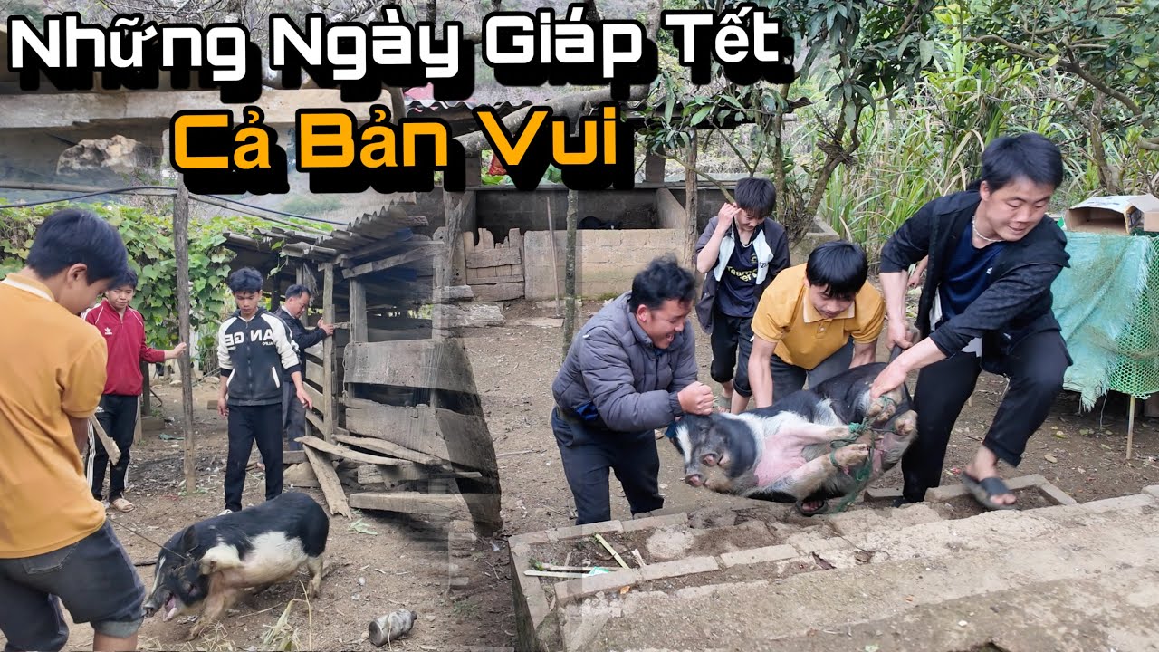 Ngày Giáp Tết Ở Vùng Cao Ai Cũng Phấn Khởi, Mỗi Nhà Thịt Một Con Lợn To Ăn Mừng...!