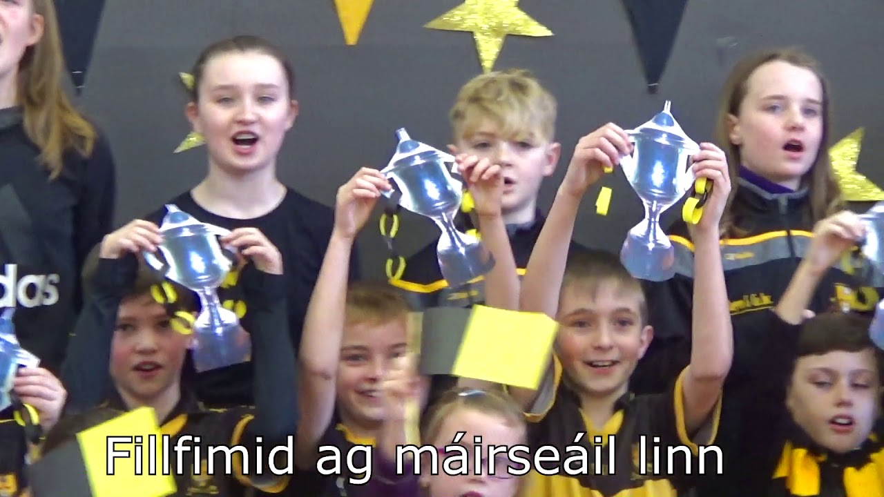 Gaelscoil Faithleann Crokes 2019