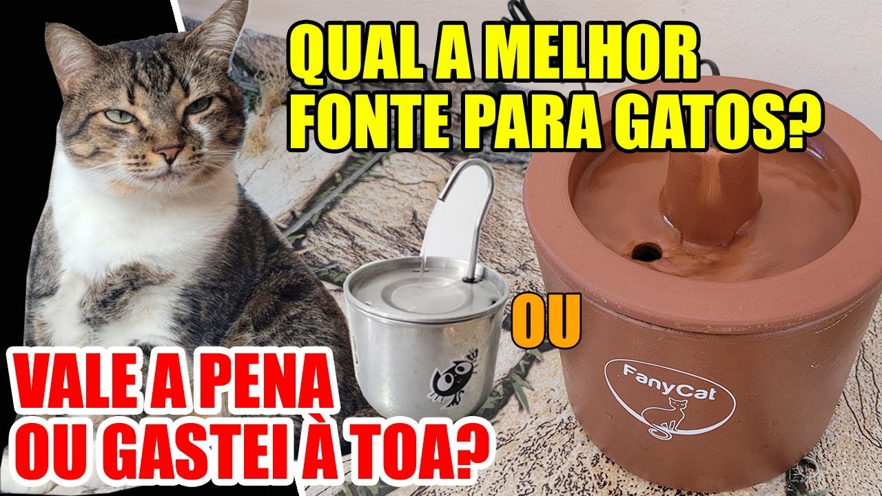 Fonte de água par gatos Qual é a melhor? Testei duas diferentes