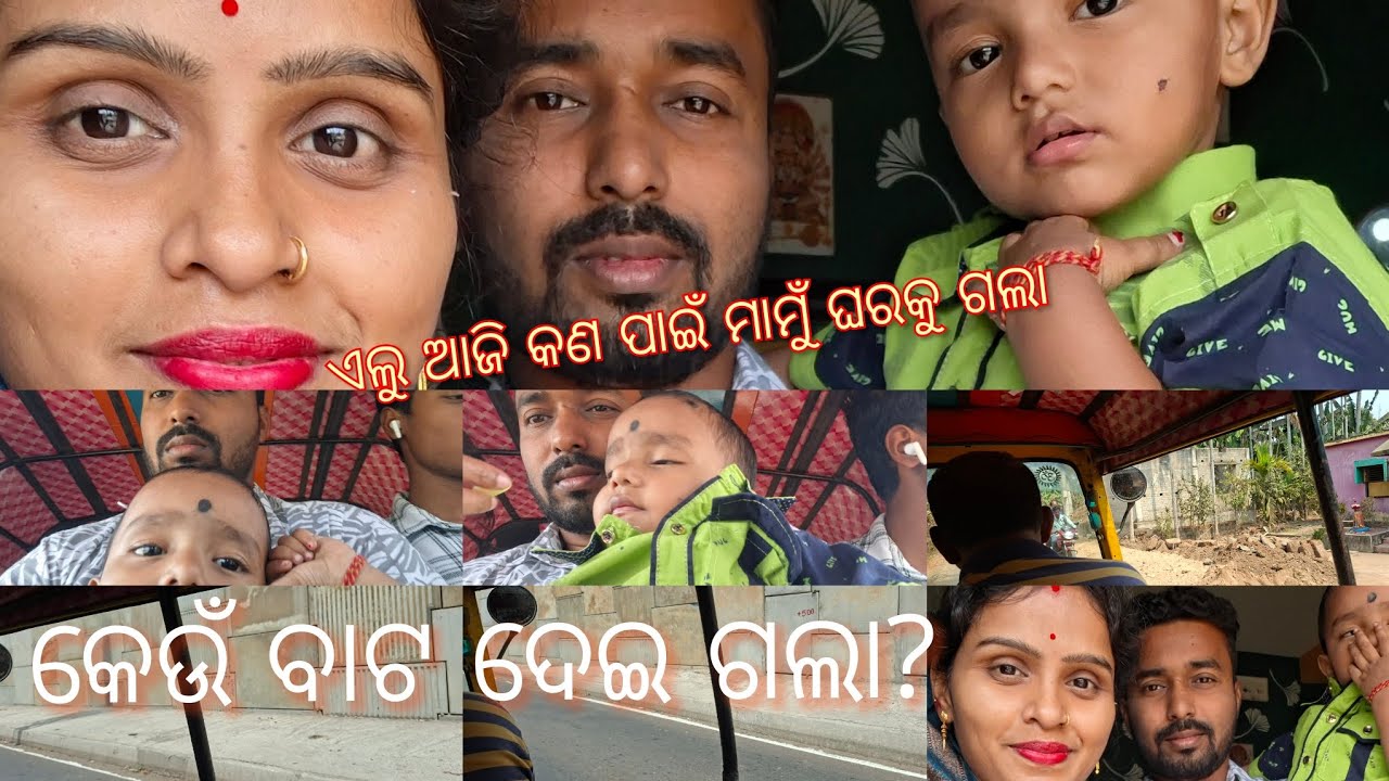 ଏଲୁଆଜି କେଉଁ ବାଟଦେଇ ମାମୁଁଘରକୁ ଗଲା। #odiavlog #odia #odisha #village #villagevlog #travel #villagelife