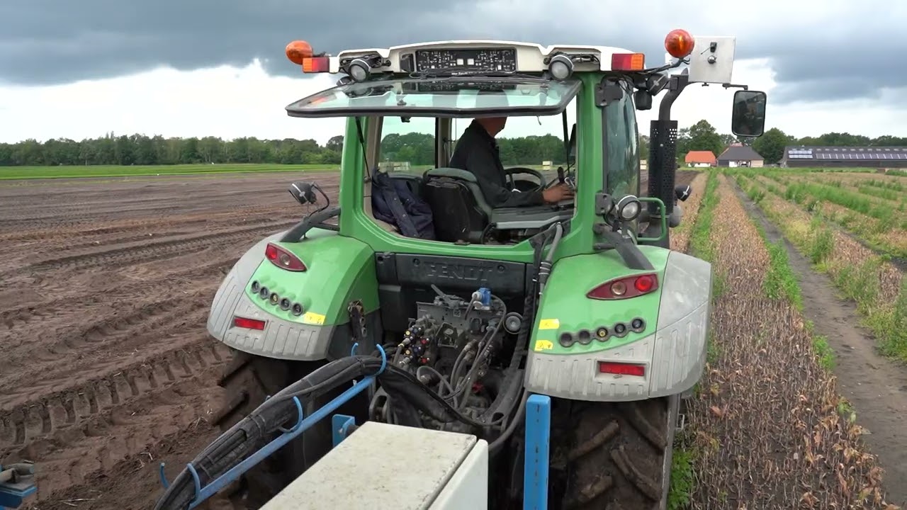 Loonbedrijf Kok Bovenkarspel, tulpen rooien 2021, Vledder.