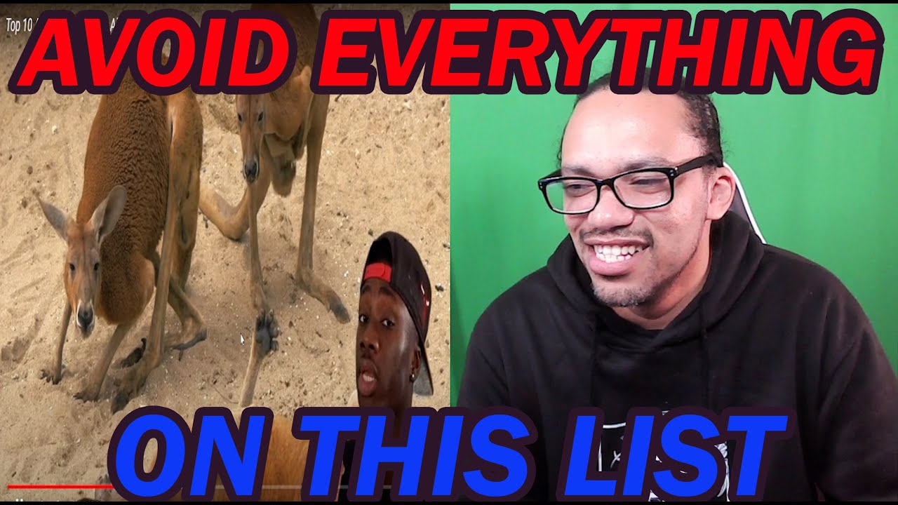 REACTION: Top 10 Animals with Black Air Force Energy 
