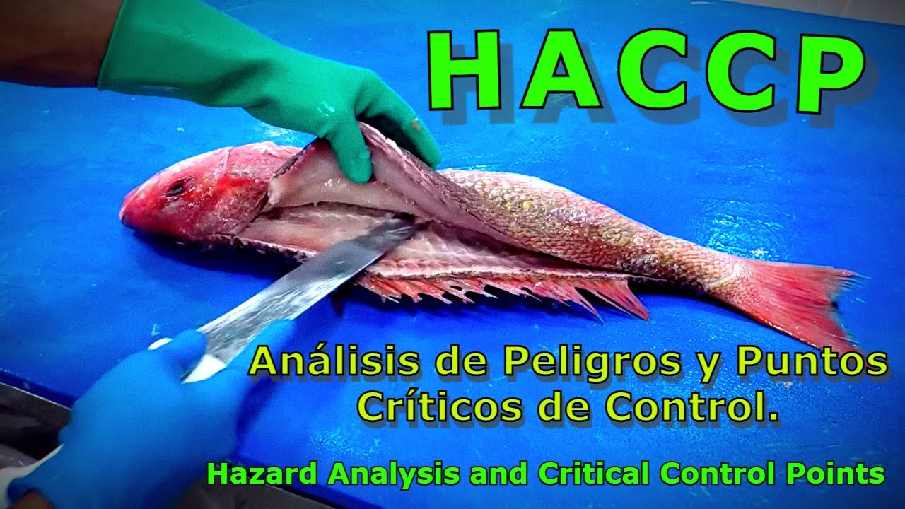 HACCP – Análisis de Peligros y Puntos Críticos de Control.