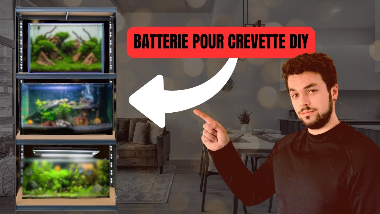 🦐​CONSTRUCTION ET INSTALLATION D'UNE BATTERIE POUR CREVETTES AVEC UN SEUL AQUARIUM🦐