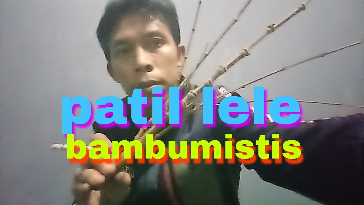 review bambu mistis patil lele