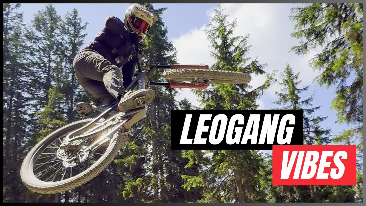 Wie GEIL ist das denn?? | Bikepark Leogang liefert ab!