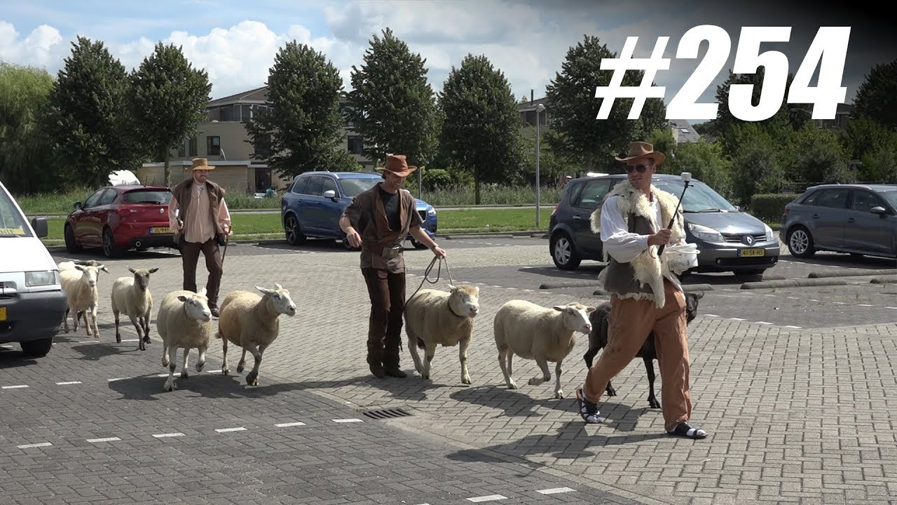 #254: Schapenbende in een Bouwmarkt [OPDRACHT]