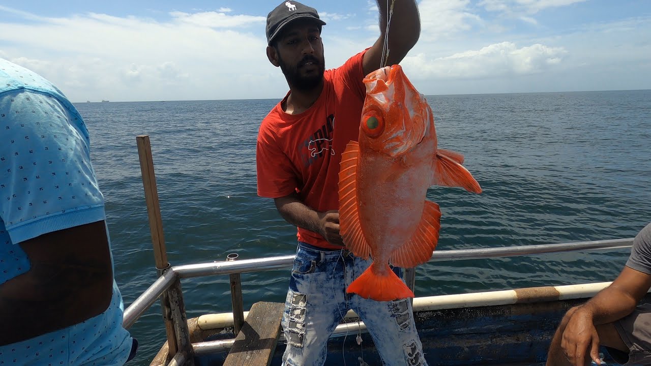 FISHING ON THE SUNFISH WITH CAPTAIN TALLMAN, TRINIDAD, CARIBBEAN.  | GULF OF PARIA