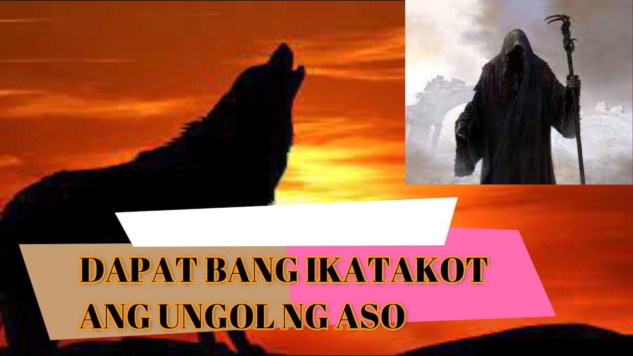 ALAMIN KUNG BAKIT UMUUNGOL ANG ASO|KAHIBALO TSANEL