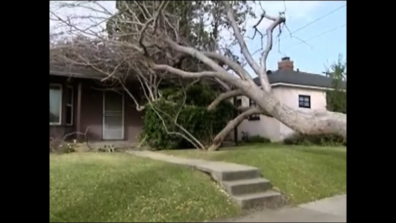 Hurricane force winds sweep through Calif.
