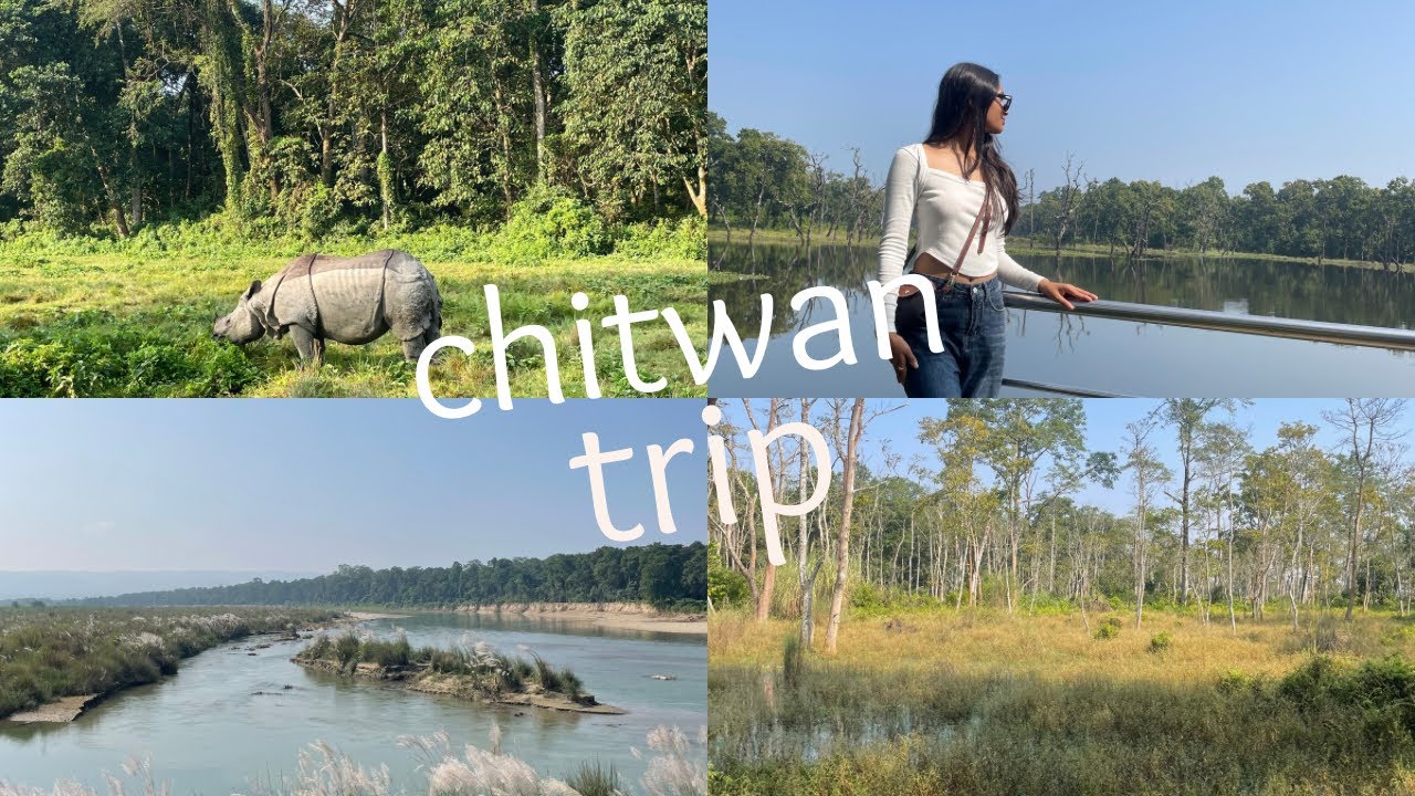 Chitwan vlog 🐘🐊: trip with my family,lots of sightseeing&hellip;❤️✨  *raw video* chaos 