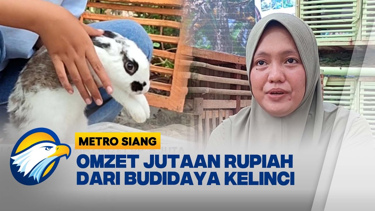 Berkah Budidaya Kelinci, Raup Omzet Jutaan Rupiah [Metro Siang]