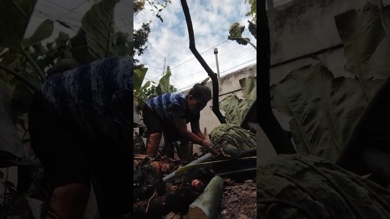 Kapag may tanim may inaani