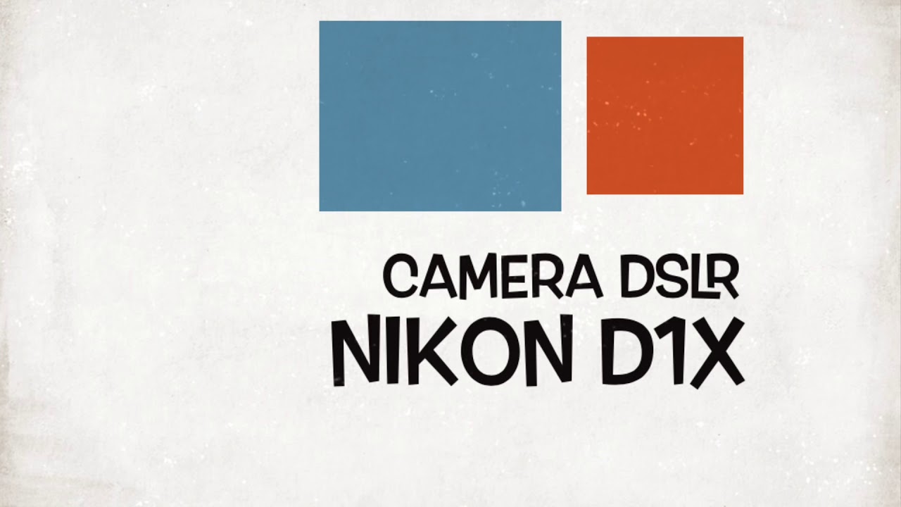 Nikon D1X