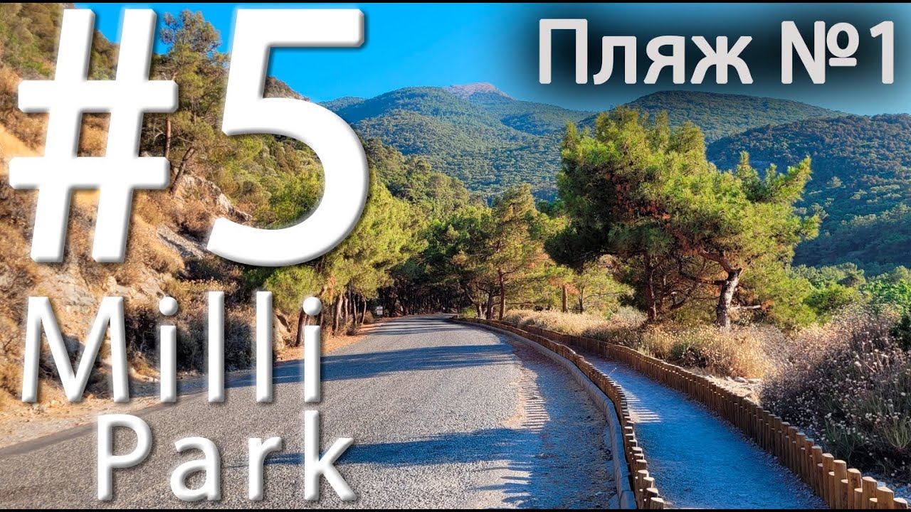 #5 Поехал в Милли Парк и ЗАБЛУДИЛСЯ! Пляж №1 в Милли парке