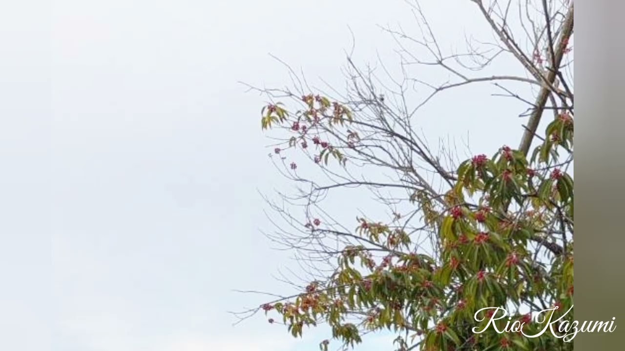 考えないように