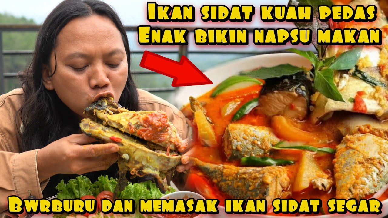 IKAN SIDAT KUAH KUNING PEDAS HAS SUNDA