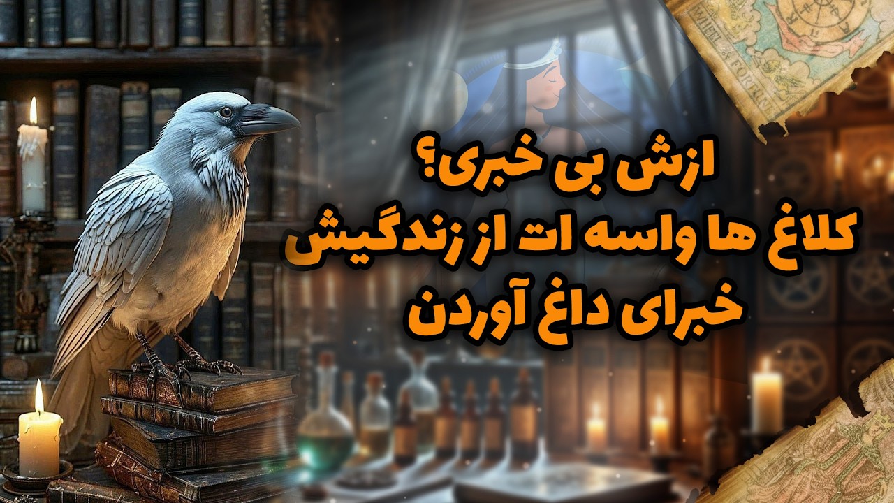 شراره تاروت کوچینگ - ازش بی خبری؟ کلاغ ها واسه ات از زندگیش خبرای داغ آوردن