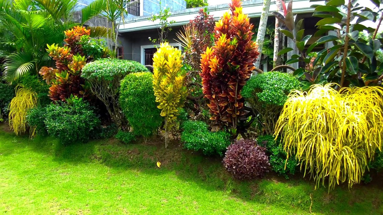 3 IDEAL AND BEAUTIFUL VILLAGE HOUSE GARDENS/GAVE YOU MORE GARDENING IDEAS