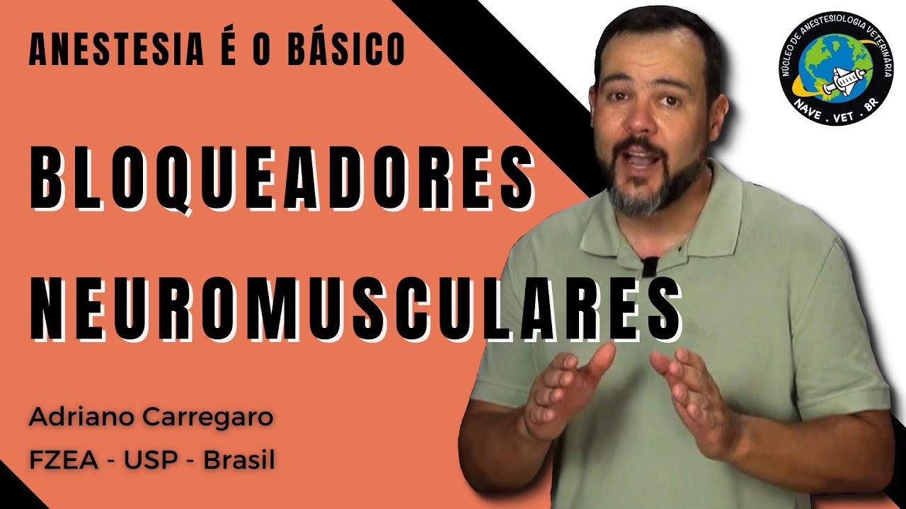 1⃣9⃣ BLOQUEADORES NEUROMUSCULARES | Anestesia é o Básico #19