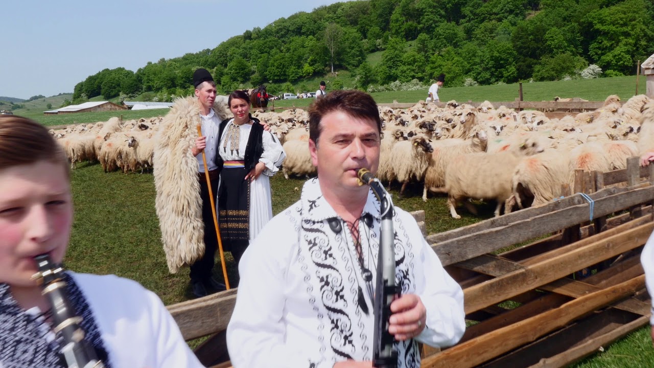 Eugen Mihăilă și formația Adi Străulea0745819769/0724883504-Draga-mi ciobănia