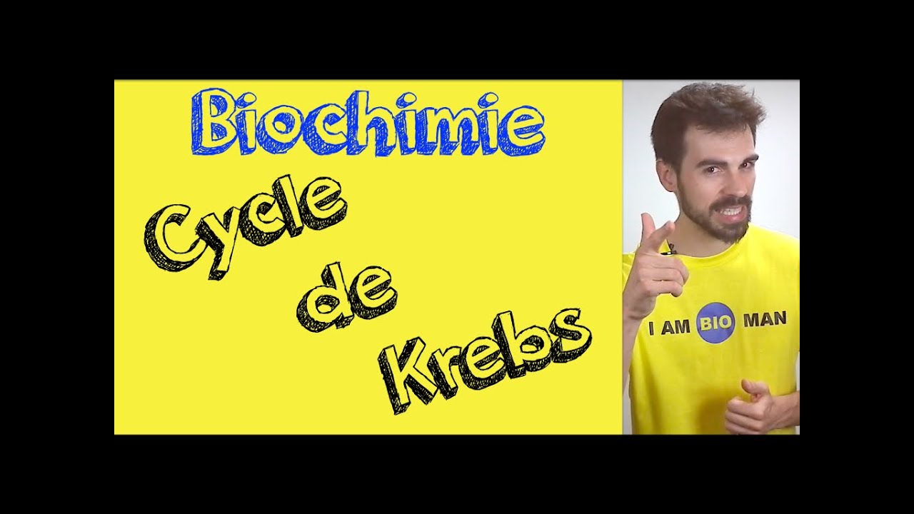 Cours de biochimie: cycle de Krebs