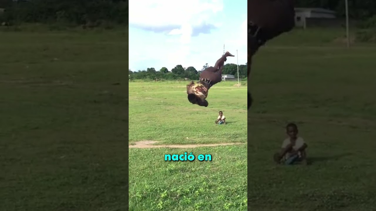 EL MEJOR ACROBATA DEL MUNDO!! 😲 3