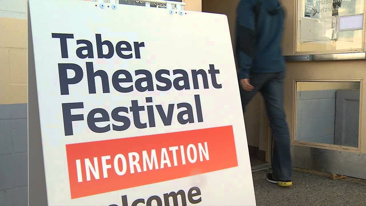 Taber Pheasant Festival benefits both local community and wildlife habitat