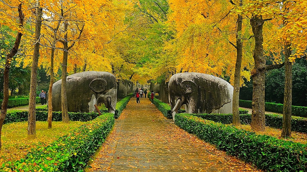 Nanjing Ming Tomb in Early Winter: Sacred Way & “Most Beautiful 600m