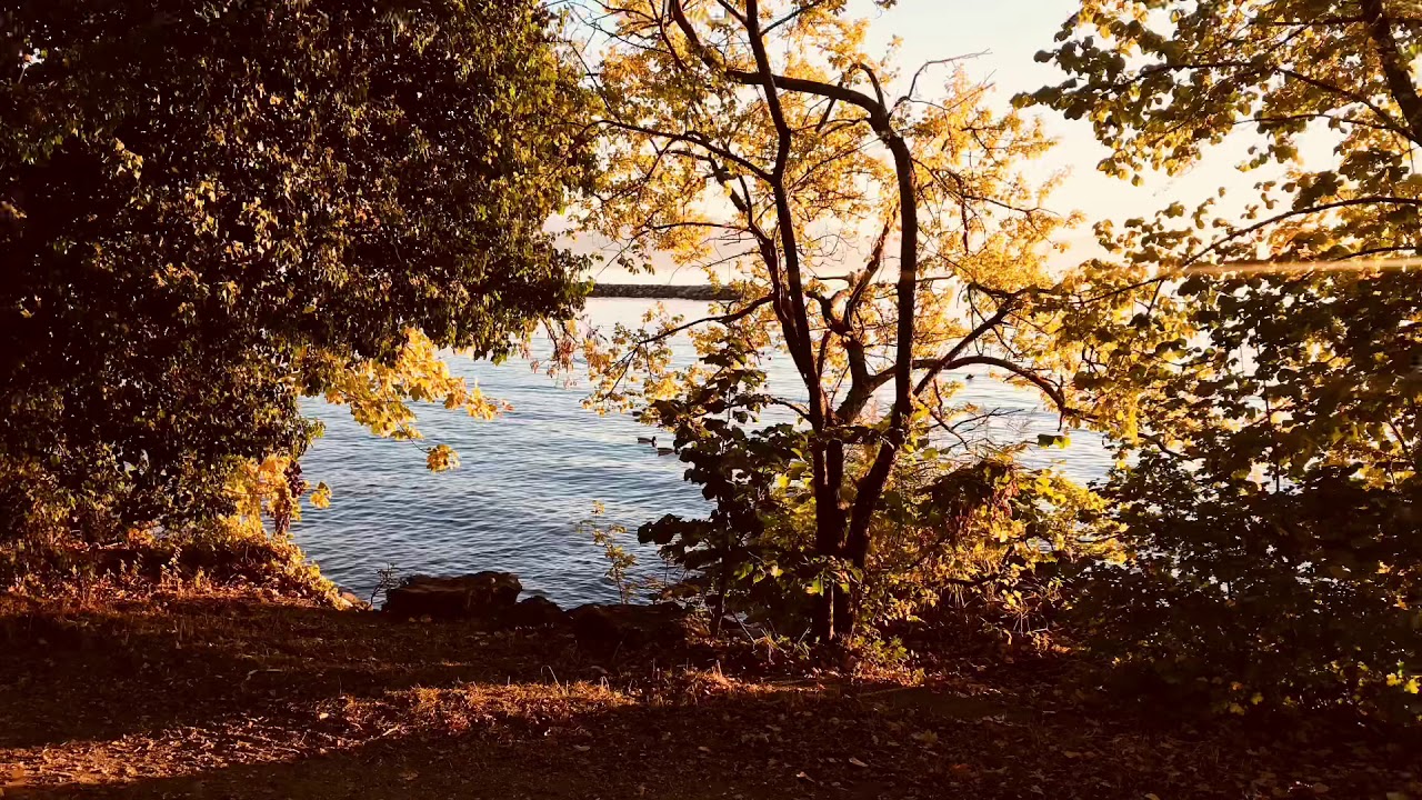 Lausanne - Vidy