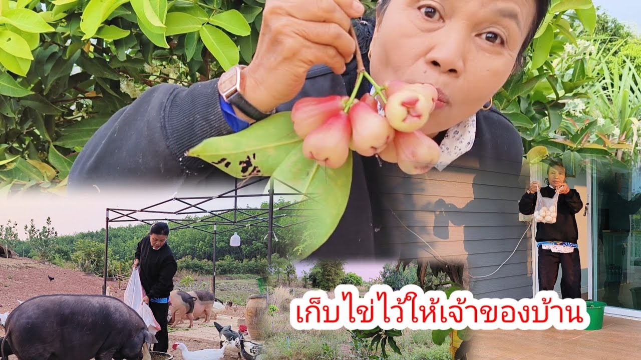 มาหาไข่เจียวก่อนออกเดินทาง​#ป้าแต๋นชาเเนล 