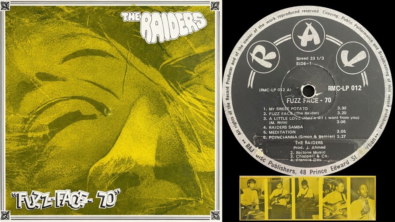The Raiders - Fuzz Face