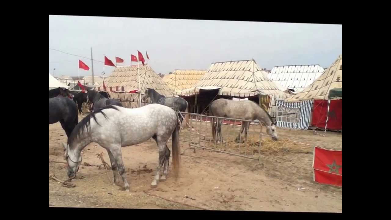 Veille de la fantasia à MOULAY ABDELLAH (MAROC)