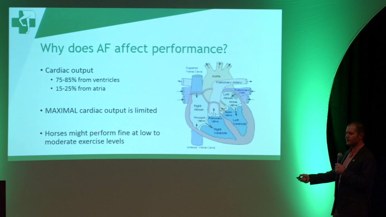 My vet diagnosed atrial fibrillation in my riding horse.  Is this a problem?