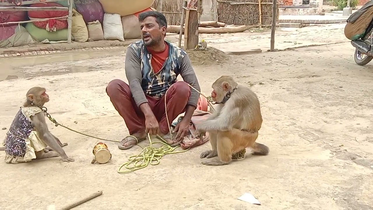 26 जुलाई 2024