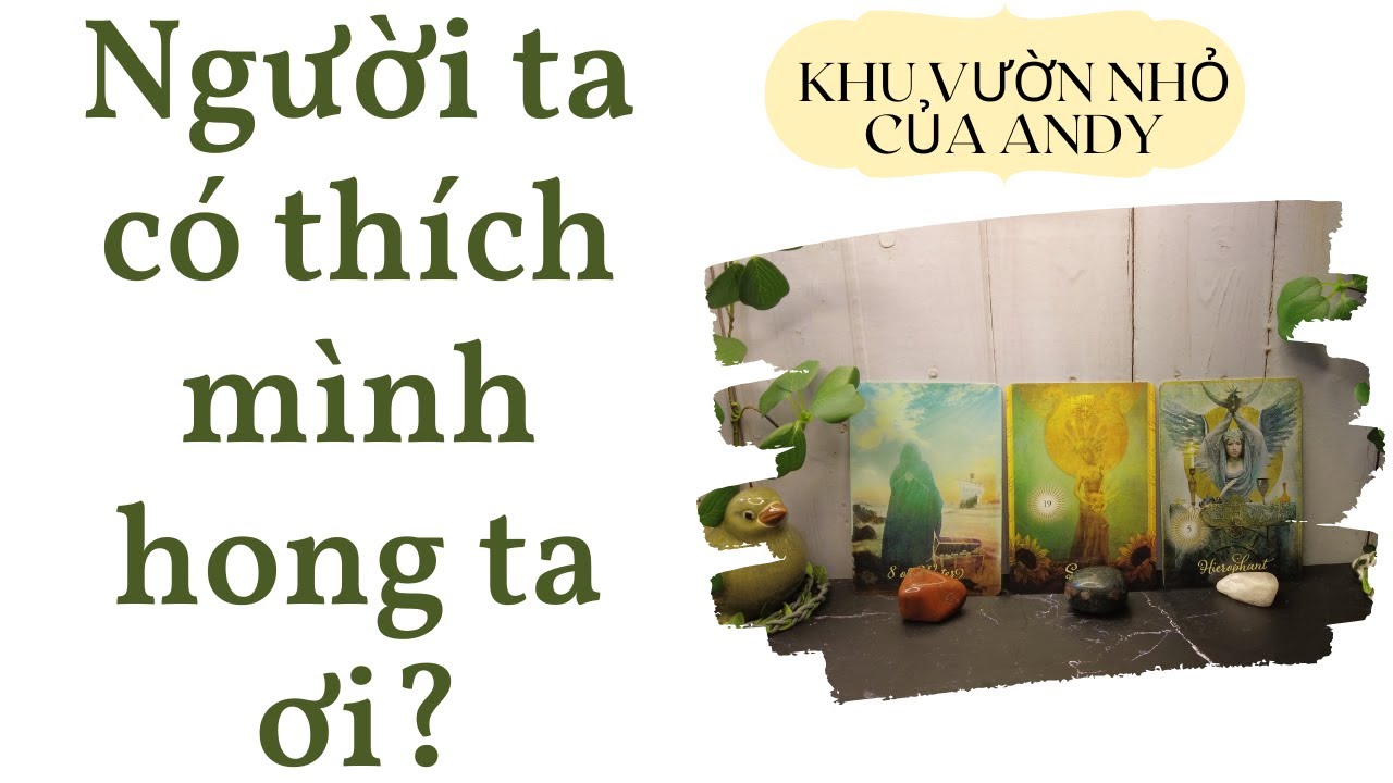Người ta có thích mình hong ta {Single/Crush only} | Chọn 1 tụ bài | Xem tarot