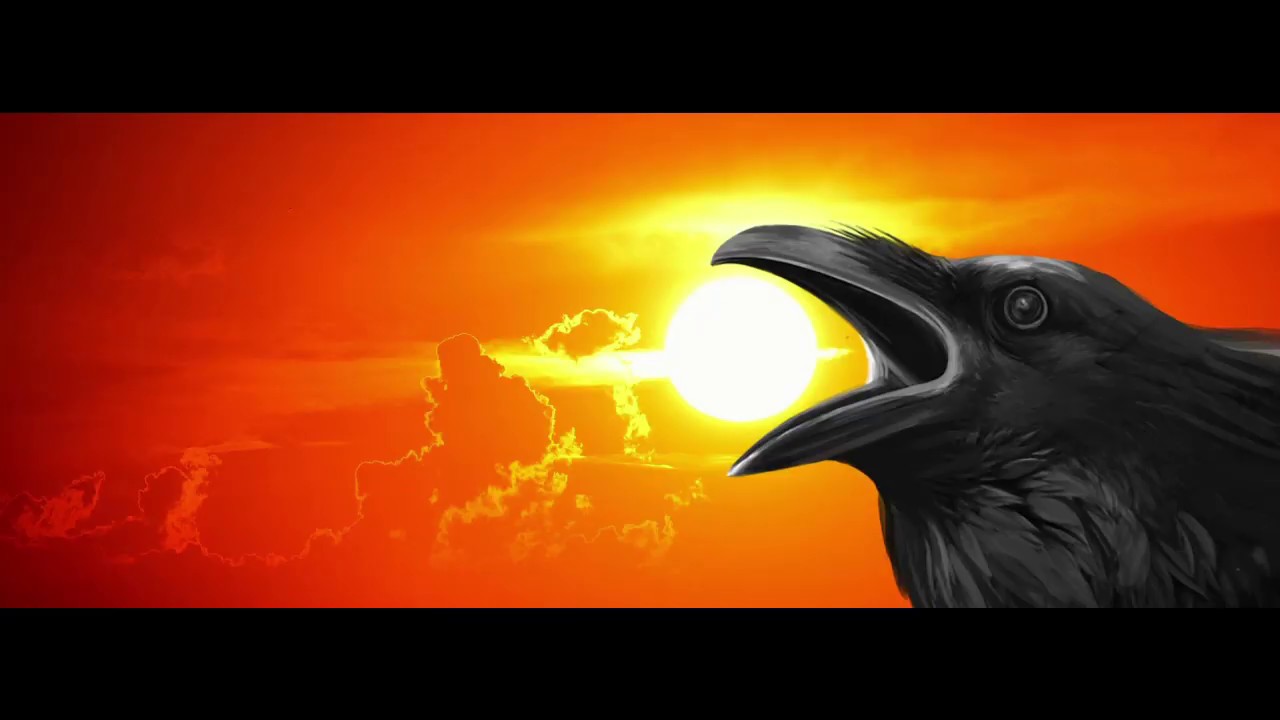 Mr.Black Crow by Johnny Juke