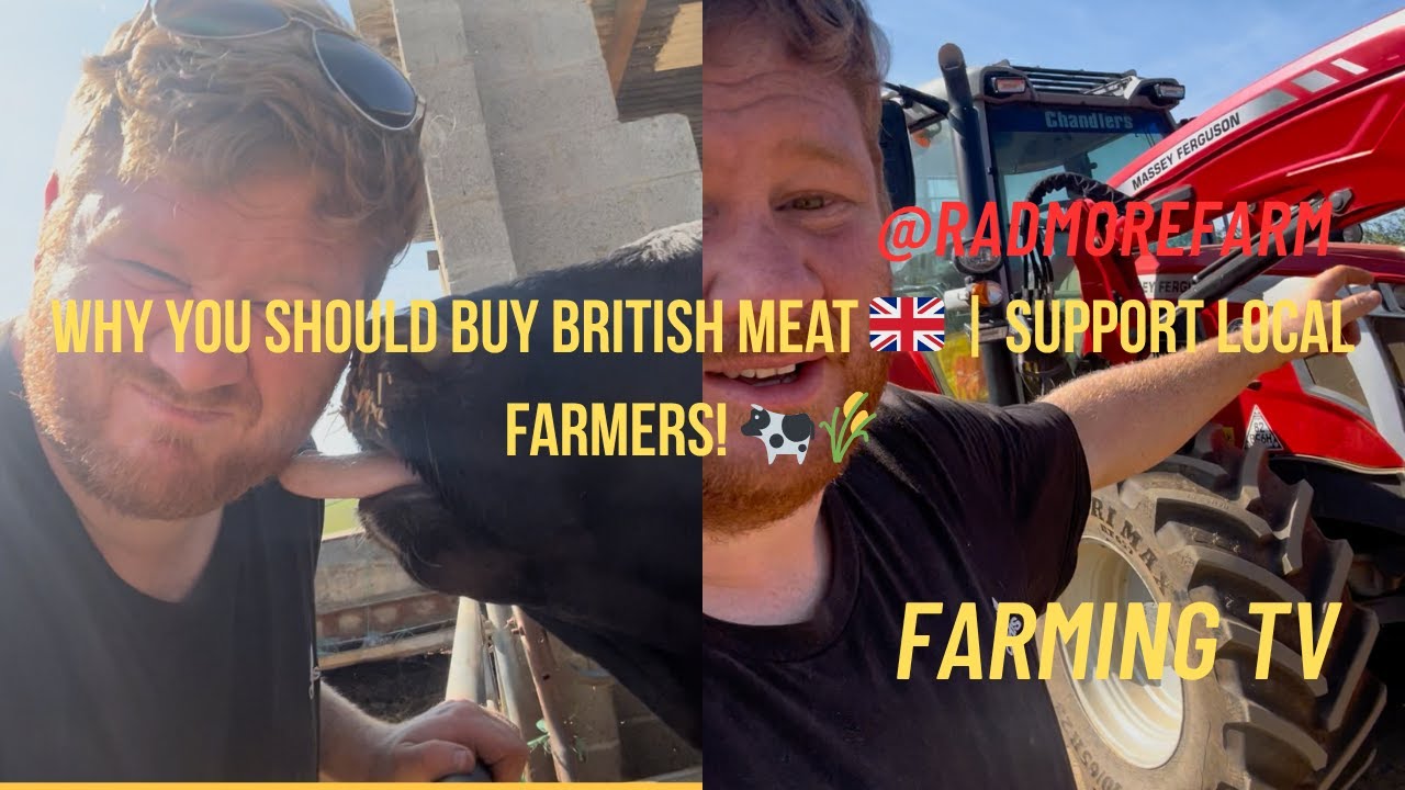 Why You Should Buy British Meat 🇬🇧 | Support Local Farmers! 🐄🌾 #BackBritishFarming