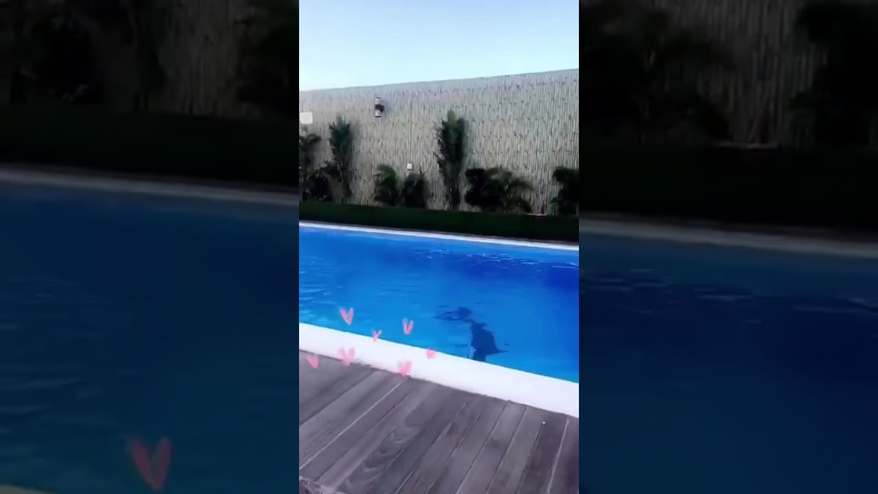 شاليهات جالكسي ينبع