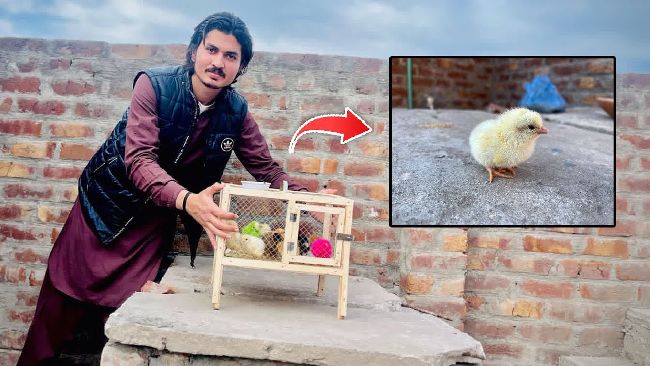 New Chick K Leye Os k Dost Ly Aye | Aj Name B Rahk Liya