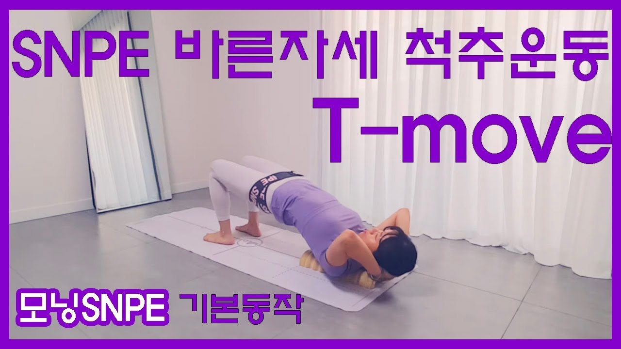 SNPE 바른자세척추운동 T-move, SNPE 입문자를 위한 티무브 운동 기본 동작 설명 및 실습