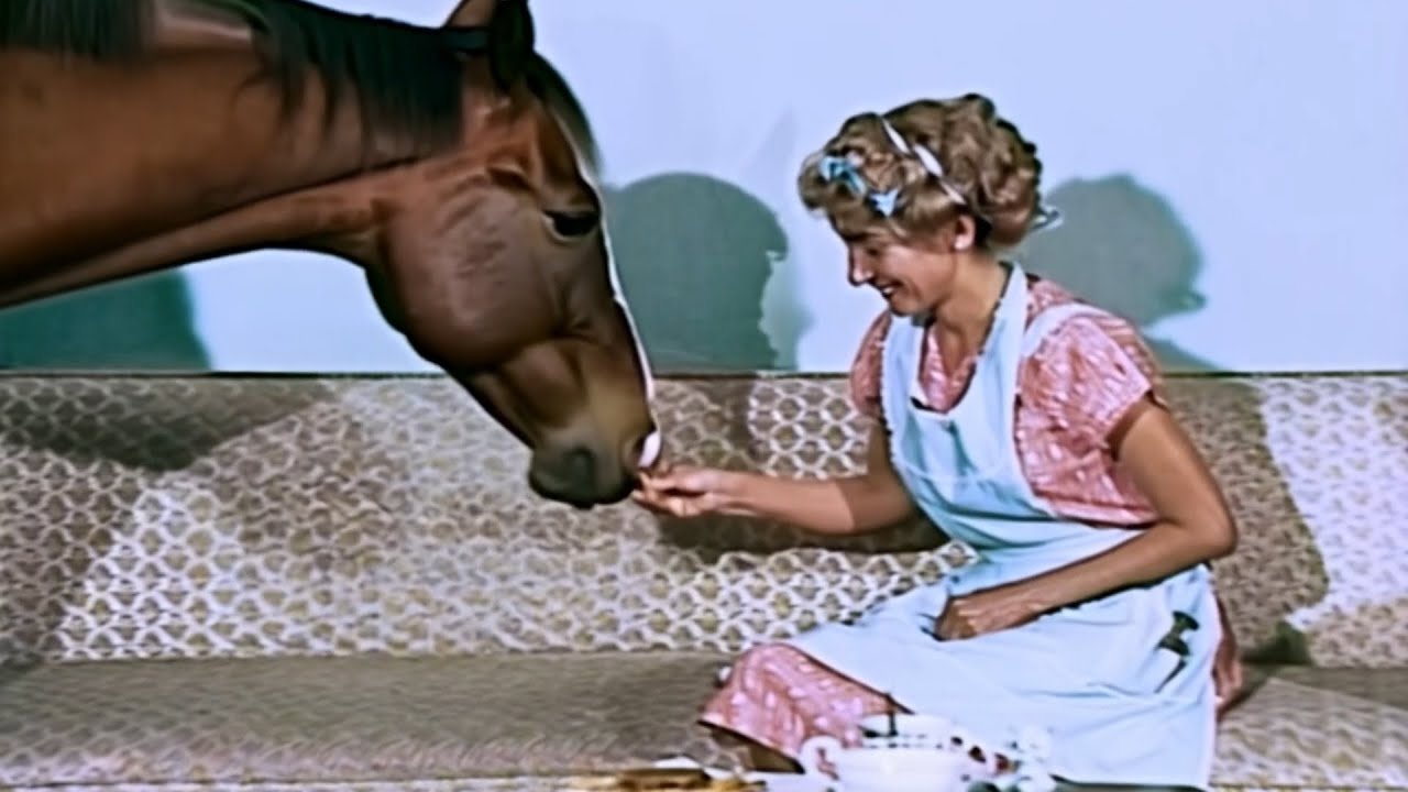 CHAVES IA - ANIMAIS NA VILA DO CHAVES - PARTE 3 #chaves #meme #tentenaorir #chaves2025 #sbtchaves
