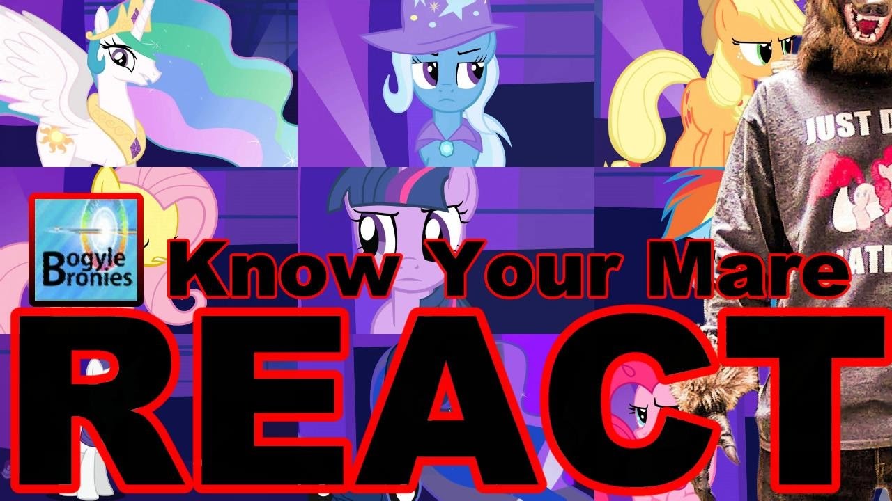 Know Your Mare Series (So Far) by Bogyle Bronies [Wolf Head Brony Reacts]