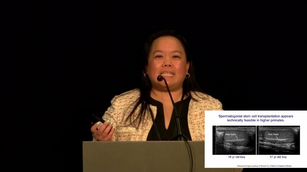 OC2022: Ultrasound-guided rete testis sperm aspiration & spermatogonial stem cell transplantation