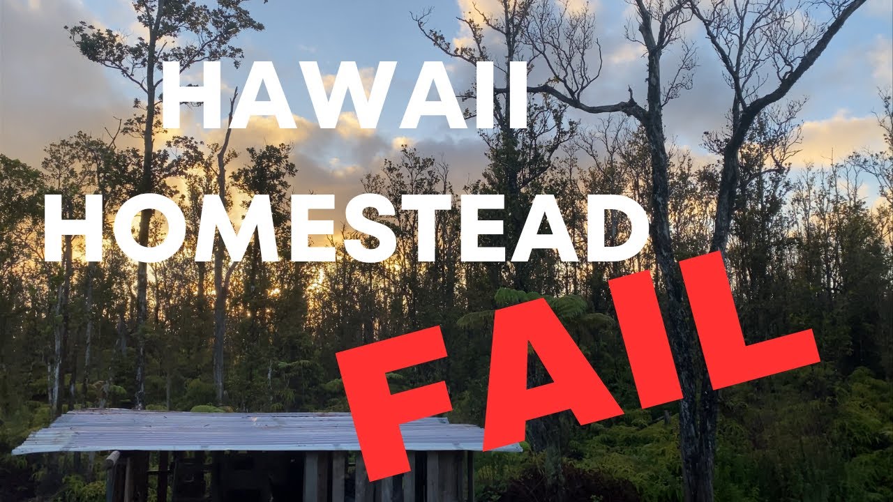 Hawaii Homestead FAIL - recap + what's next....