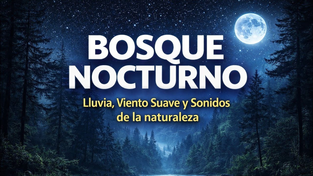 Bosque Nocturno con Lluvia Suave 🌧️ Viento y Sonidos de la Naturaleza | 3 Horas de relax