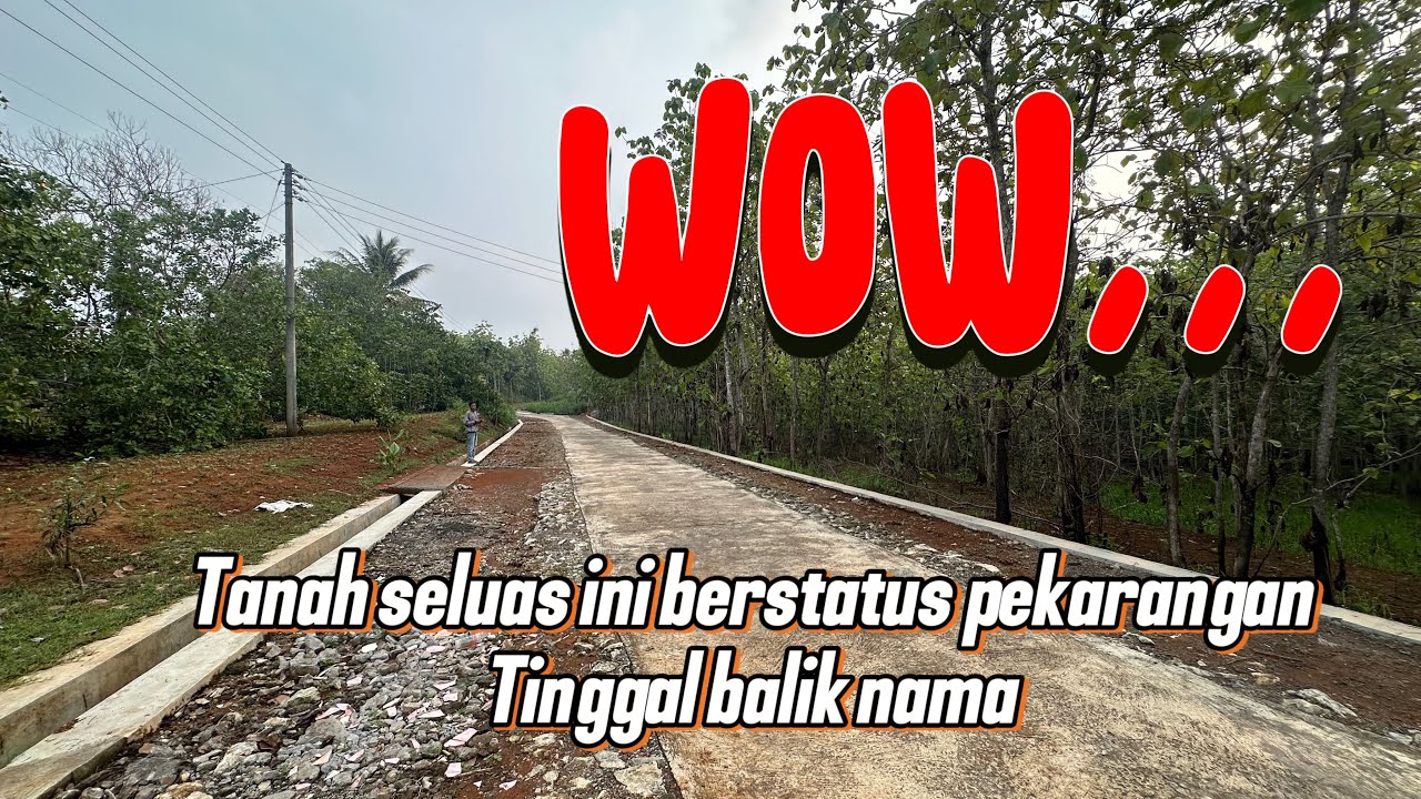 Terjual❌Dijual murah meriah tanah pekarangan luas 7.288m2 isi pohon jati dan sumur