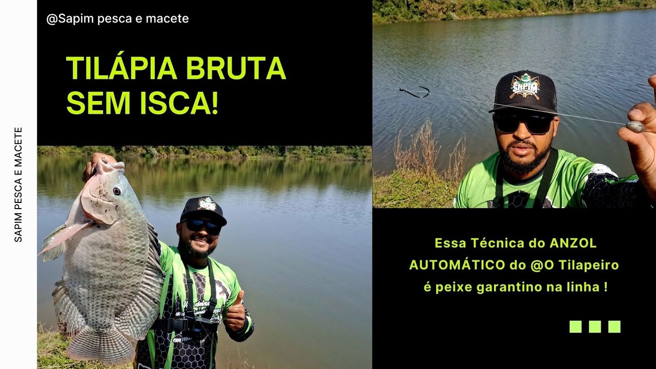 **🎣 Pescaria de Tilápia Bruta Sem Isca 😱 | Anzol Automático em Ação! 